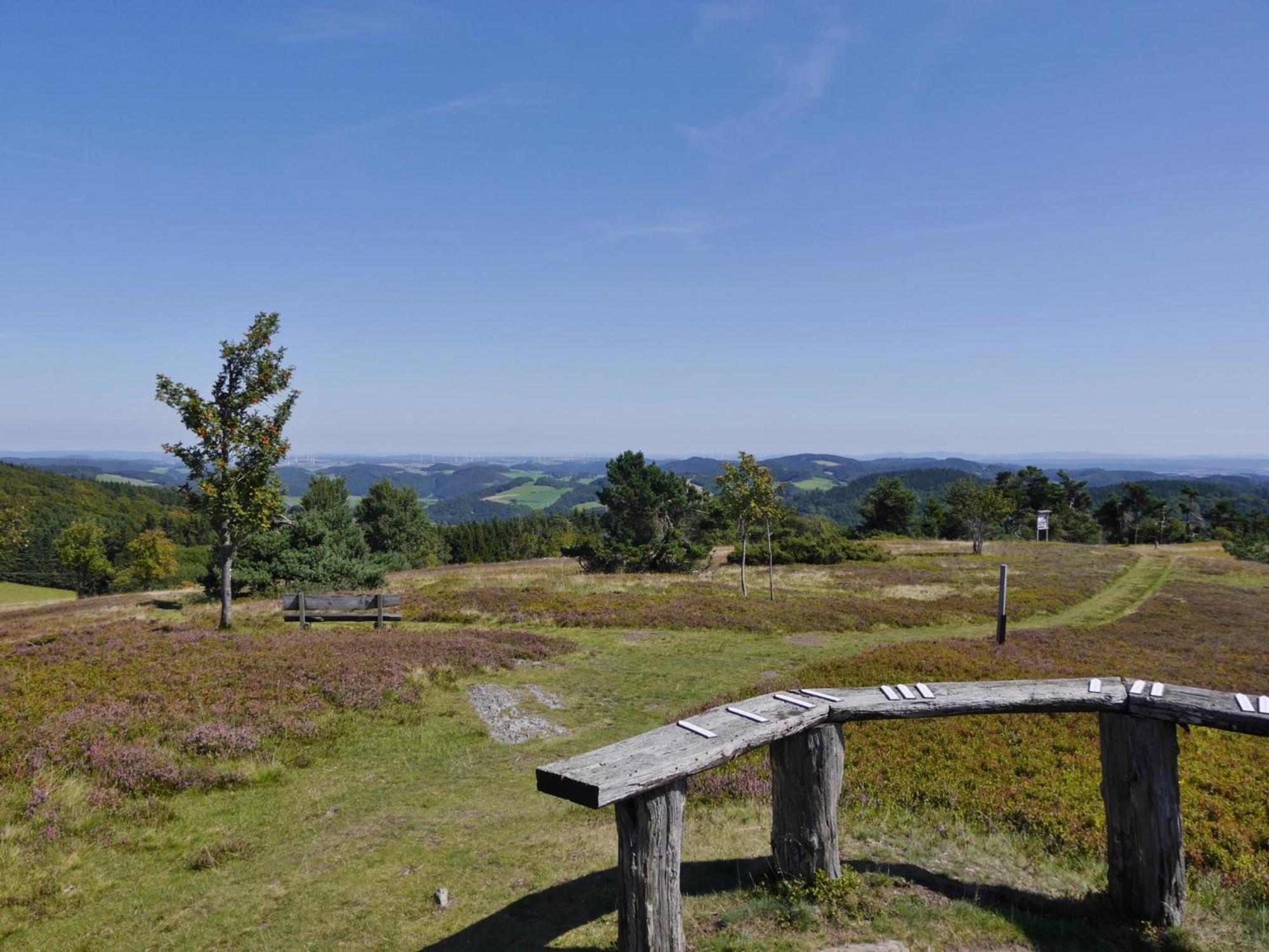 Appartement Happynest*** Mit Hallenbad Willingen  Exterior foto